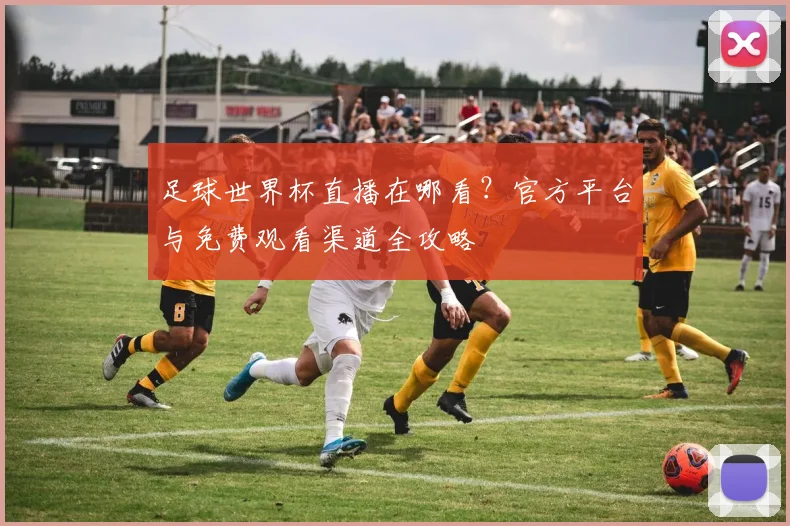 足球世界杯直播在哪看？官方平台与免费观看渠道全攻略